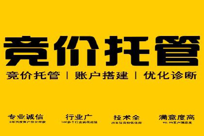 百度竞价价格解析，成功案例分享